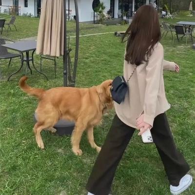 飞翼振四方
